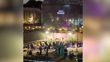El Jardín Botánico ofrece un plan navideño para familias hasta el 23 de diciembre, con recorridos iluminados, música en vivo y actividades culturales para disfrutar juntos.
