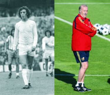 Vicente del Bosque.