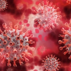 La variante XE se expande por España: estas son las personas con mayor riesgo de contagiarse