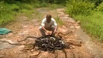 Un hombre libera a 285 serpientes a la vez y ninguna le ataca.