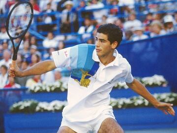 Considerado uno de los mejores tenistas de la historia. Obtuvo 14 triunfos en torneos de Grand Slam, incluyendo siete veces Wimbledon. Además, llegó a ser el primer lugar en el ranking de la ATP por 286 semanas al hilo, siendo la segunda mejor marca en la historia, sólo debajo del suizo Roger Federer.