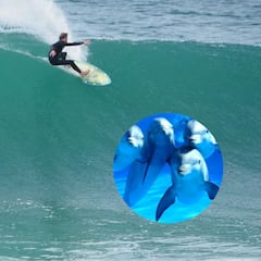 Inusual emboscada de una manada de delfines a un surfista