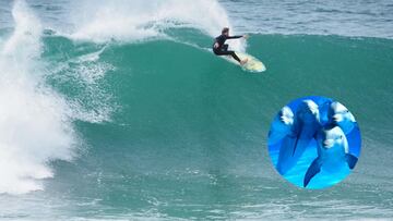 Eli Anderson surfea una ola - manada de delfines