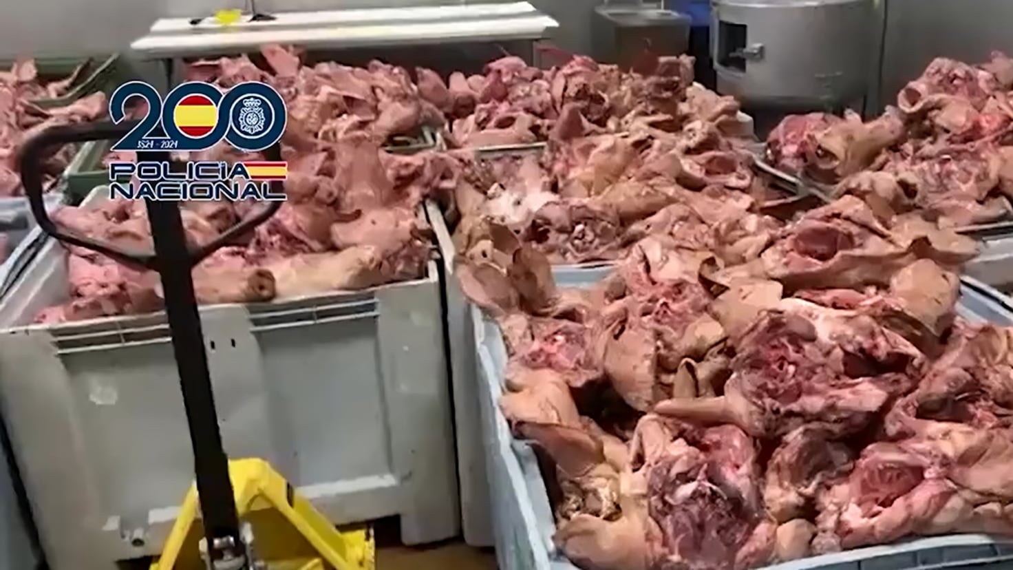 Alerta Sanitaria en España: Intervienen Carne Descompuesta y Productos Ilegales en una Píllan - ¡Riesgo para la Salud Pública!