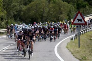 Vista del pelotón durante la duodécima etapa de la Vuelta Ciclista a España disputada entre Escaldes-Engordany (Andorra), y Lleida, con un recorrido de 173 kilómetros.