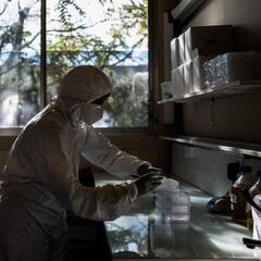 El IHM de Bill Gates predice el número de muertos de España por COVID-19 hasta febrero