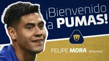 Cinco refuerzos foráneos reporta el equipo universitario de cara al Apertura 2018, certamen para el cual tiene ocho jugadores no nacidos en México.