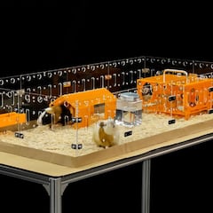 La joven de 17 años que gana miles de euros al mes vendiendo jaulas para animales en Amazon