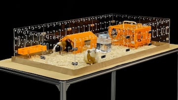 La joven de 17 años que gana miles de euros al mes vendiendo jaulas para animales en Amazon