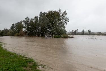 El río Guadalquivir desbordado por la zona de la Cartuja en Sevilla.