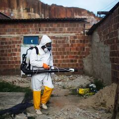 Un 'ejército' de 6.000 personas luchará contra el zika en Río