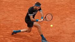 Roland Garros: el Del Potro - Cilic, suspendido por lluvia