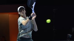Sinner sees off Medvedev to set up Djokovic rematch in Riyadh