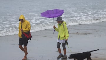 The Atlantic hurricane basin has seen the development of four storms in 39 hours, the shortest time span ever recorded. What’s behind the burst of activity?