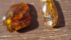 A woman picks up a supposed piece of plastic on the beach and it turns out to be a much more valuable material from millions of years ago