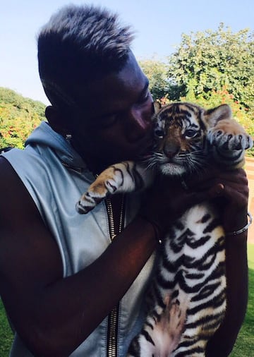 Pogba ha destacado además por su exótico estilo de vida, desde peinados, autos, forma de vestir y hasta fotos con excéntricos animales