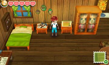 Captura de pantalla - Story of Seasons (3DS)