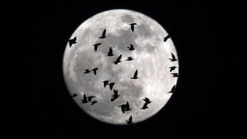 Superluna 2018: cómo y dónde ver hoy por Internet