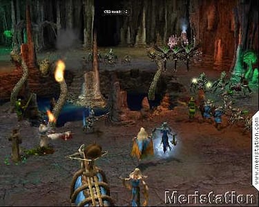 Armies of Exigo (PC)
