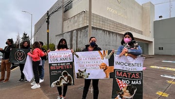 Juicio de Tango y Athos: Autoridades de Querétaro declaran culpable a hombre que envenenó a ‘Lomitos’