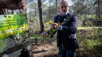 Luis de la Fuente, durante su participación en la replantación de 8.000 árboles para la reforestación de Doñana.
