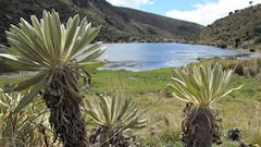 Caravana en defensa del Páramo de Santurbán: cuándo es y qué piden los manifestantes