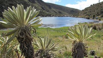 Convocan caravana en defensa del Páramo de Santurbán. La movilización será el viernes 11 de septiembre en bicicleta o carros cumpliendo los protocolos