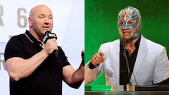 De acuerdo con el portal TMZ, 30 personas, entre las que destacan Dana White, Rey Mysterio, y estrellas de la UFC, pidieron la liberaci&oacute;n de Ca&iacute;n Vel&aacute;squez.