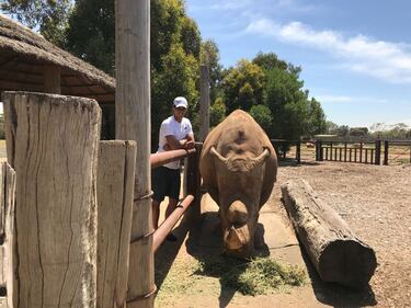 Rafa Nadal, en el zoo de Victoria junto a un rinoceronte.