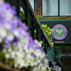 How much money do Wimbledon 2023 final tickets cost?