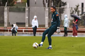 Luego de la victoria ante Paraguay, la Selección Femenina de Brasil volvió a trabajos de campo en la cancha de la Universidad Industrial de Santander, esta vez con miras a la gran final de la Copa América Femenina ante Colombia.