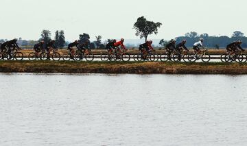 El pelotón durante la tercera etapa del Giro de Italia.
