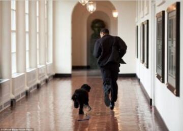 ? Official White House Photo by Pete Souza
https://www.flickr.com/photos/whitehouse/