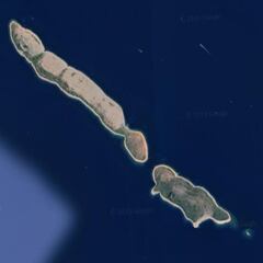 A couple has been living on an uninhabited island for 20 years: “An oasis of happiness”