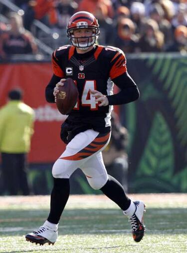 Previas de wild card: Texans-Bengals