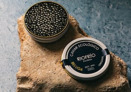 Marcelino Alonso, experto gastronómico: “Para diferenciar un caviar de beluga de uno fake hay que revisar estos tres puntos”