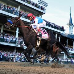 Why have four horses died at Churchill Downs in a matter of days?