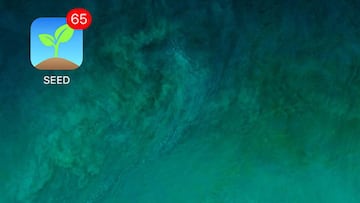 Como instalar en tu iPhone SEED, la app “secreta” de Apple