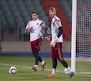 Del Bosque rotará a Casillas y De Gea en la portería de España