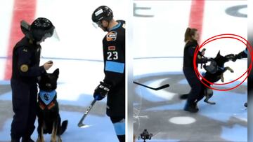 Sale un perro de la policía a hacer el saque de honor y acaba muy mal