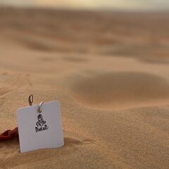 De privilegio en privilegio