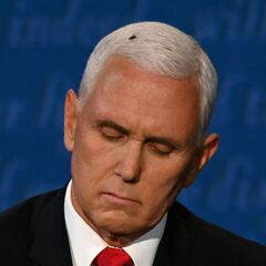 Watch: Fly stuck on Pence's head during live debate