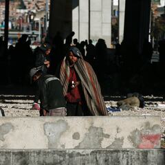 Quién es ‘Pepe’, el cocodrilo que habitaría en la olla del Bronx de Bogotá: sería usado por banda criminal