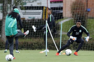 Atlético Nacional enfrentará a Patriotas de Tunja en el desarrollo de la décimo sexta jornada de la Liga Águila I - 2019 en el estadio Atanasio Girardot.