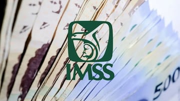 Los motivos por los que podría perder el pago de la pensión IMSS en 2023