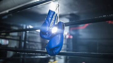 Guantes de boxeo