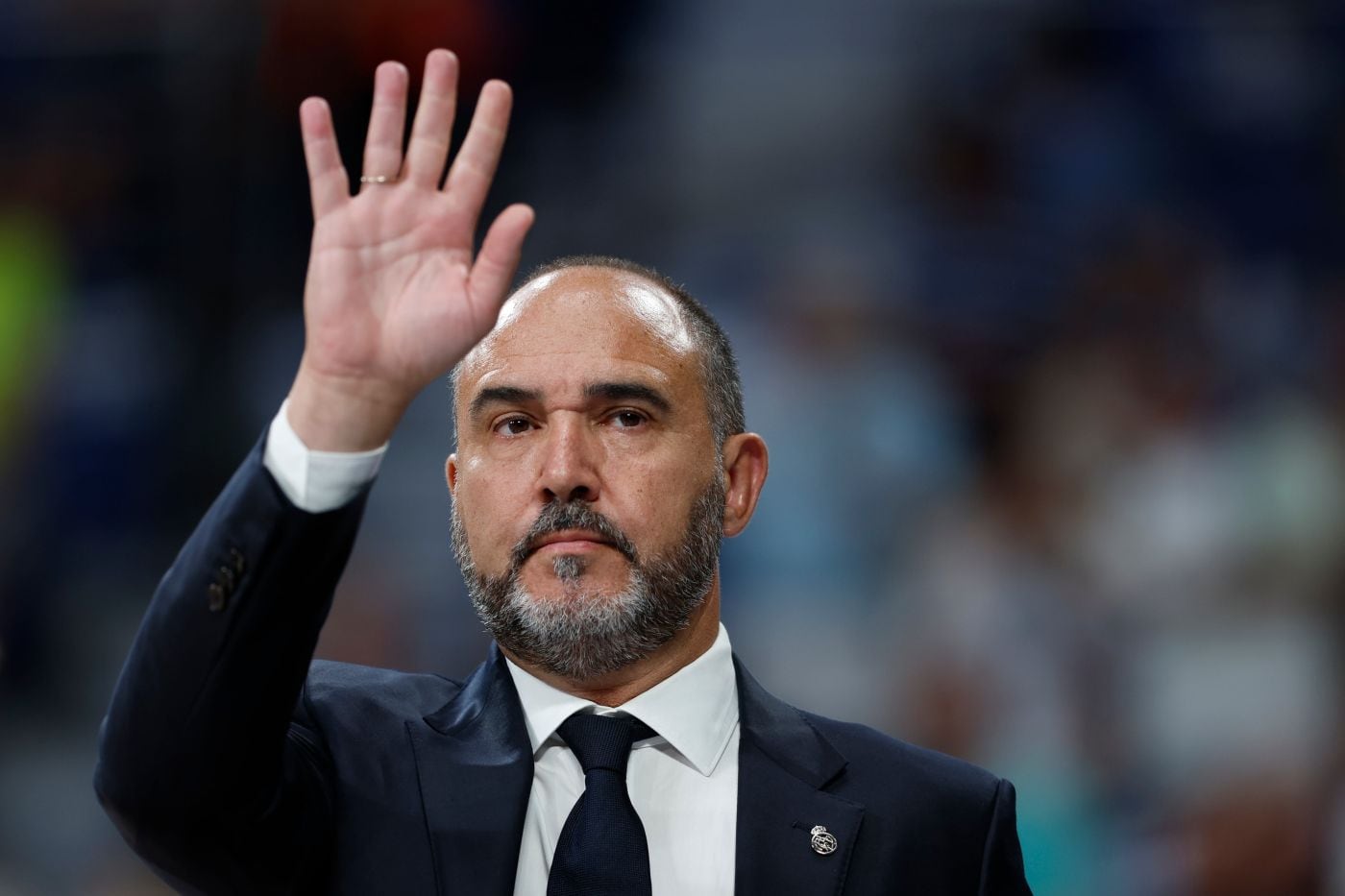 Revolucin en el Madrid: Chus Mateo, Chacho, Maledon, Scariolo, Musa, Snchez...