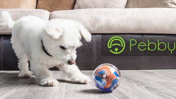 Pebby, cómo jugar con tu mascota desde la oficina