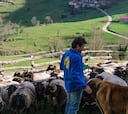 Fase 2 en Asturias: qué se puede hacer, cuándo empiezan las restricciones y cuánto duran