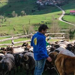 Fase 2 en Asturias: qué se puede hacer, cuándo empiezan las restricciones y cuánto duran